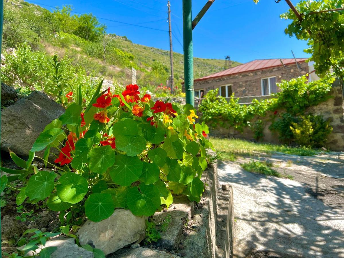 Igor Bed And Breakfast Halidzor 외부 사진