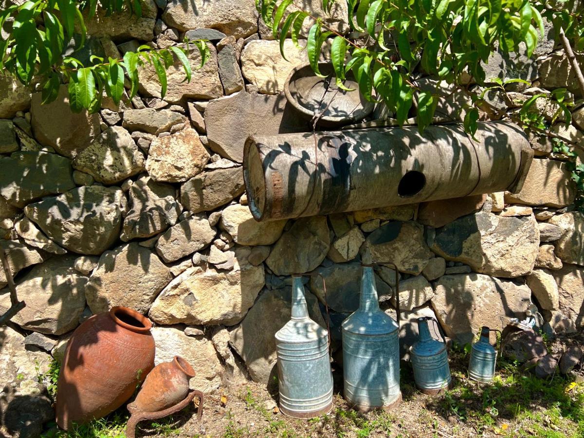 Igor Bed And Breakfast Halidzor 외부 사진