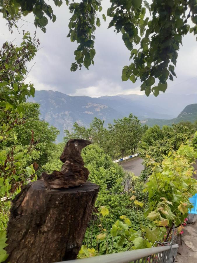 Igor Bed And Breakfast Halidzor 외부 사진