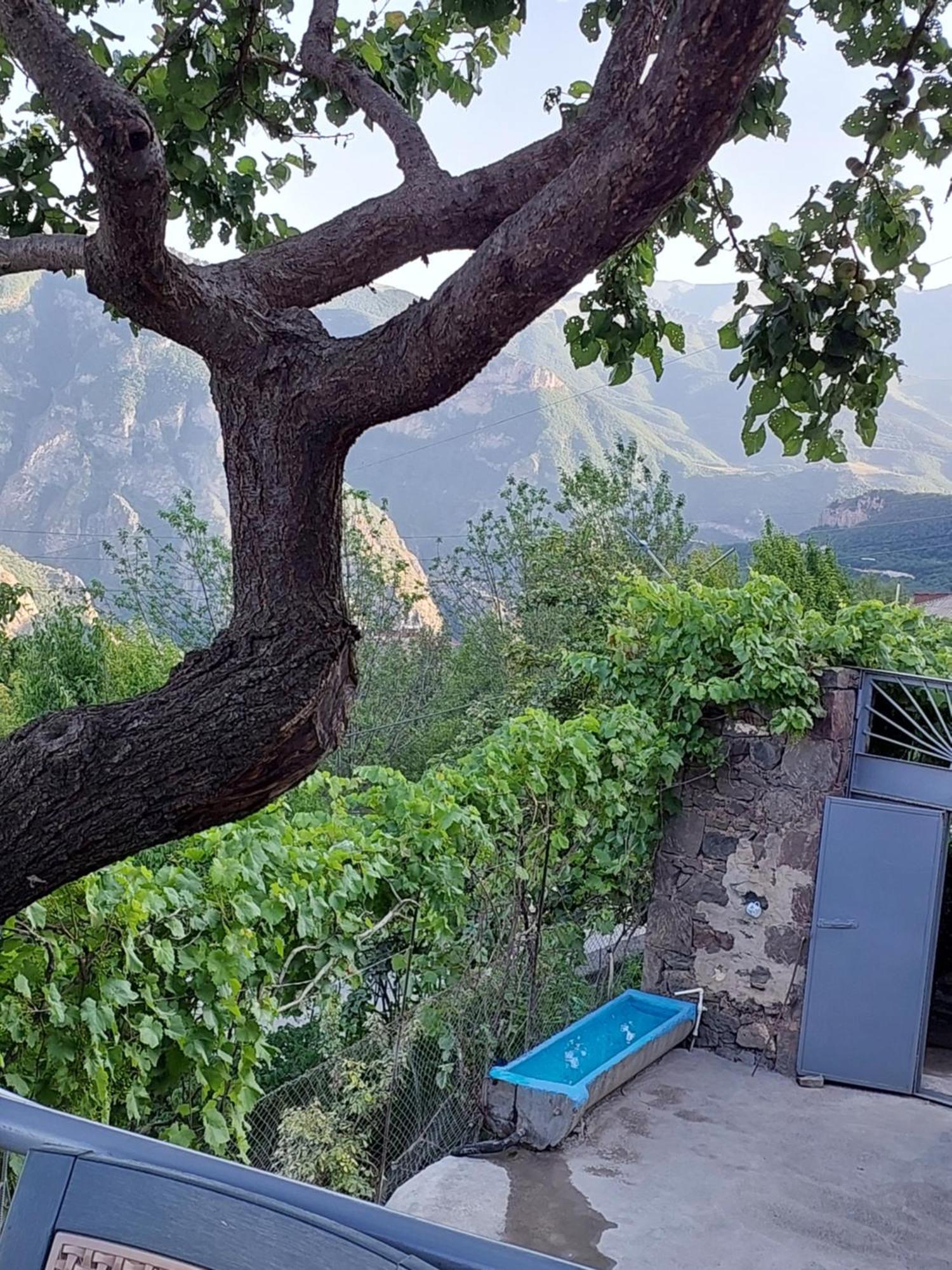 Igor Bed And Breakfast Halidzor 외부 사진