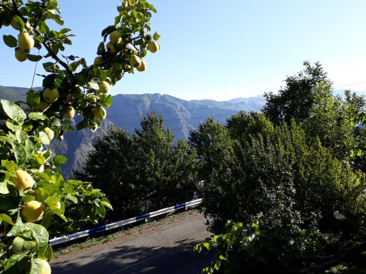 Igor Bed And Breakfast Halidzor 외부 사진